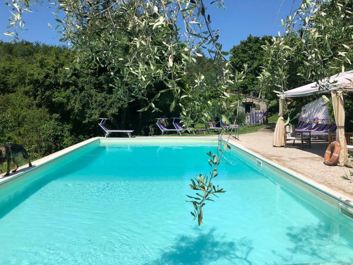 Ala Di Maniero In Agriturismo Valdrago In Toscana, Nel Verde Mugello Sulle Colline Di Firenze Borgo San Lorenzo Eksteriør bilde